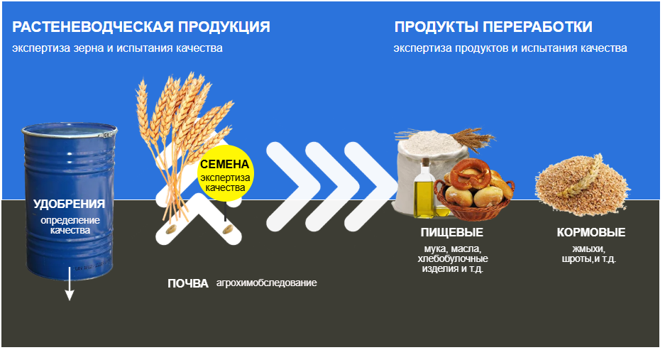 Испытательная лаборатория